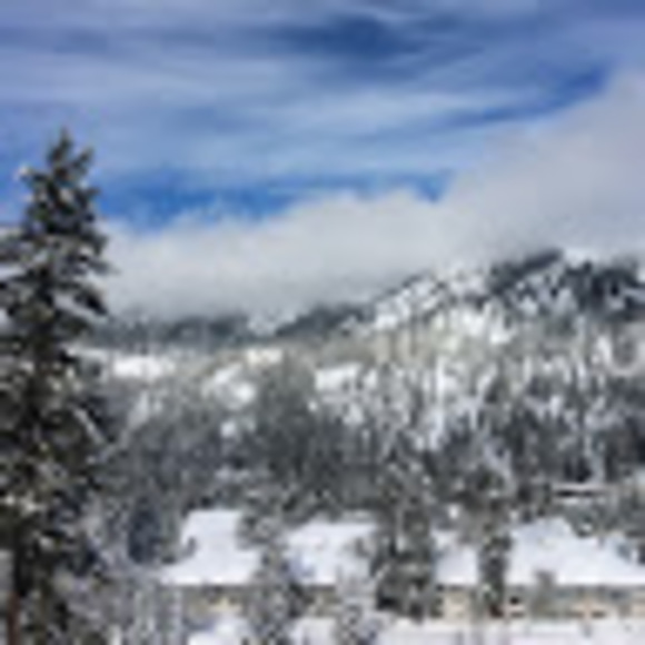 Meet your Posher, Jacob - Picture 1 of 1